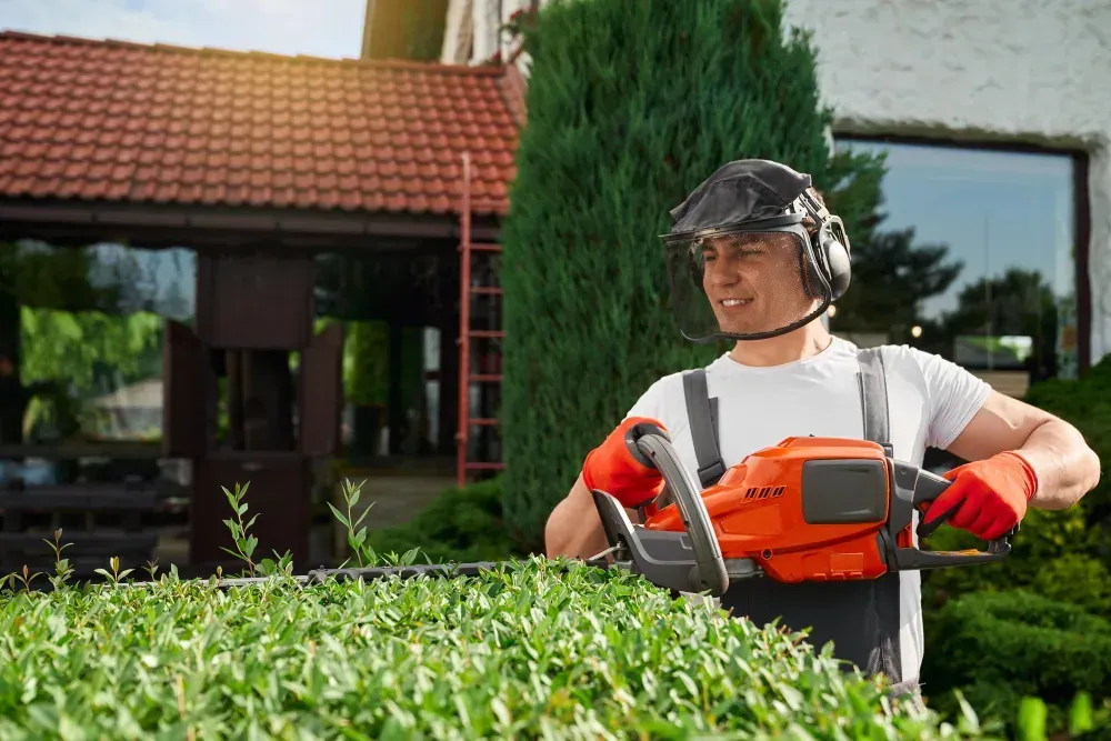 Jardinier & paysagiste en activité